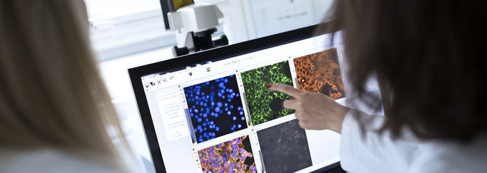 Kræftforskere står med ryggen til og kigger på en skærm med forskellige farvede celler på.